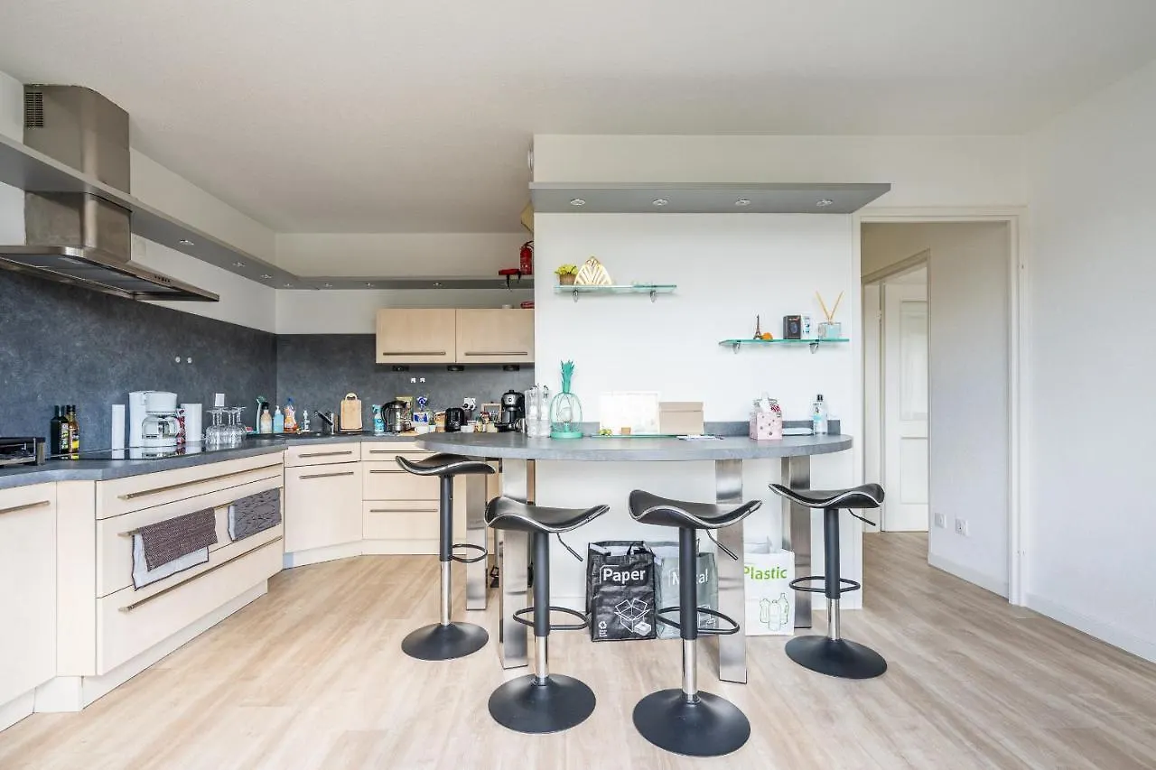 Cyclades Superbe Appartement Avec Piscine Et Terrain Tennis Saint-Julien-en-Genevois France